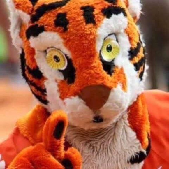 Meet your Posher, Mary - Picture 10 of 11